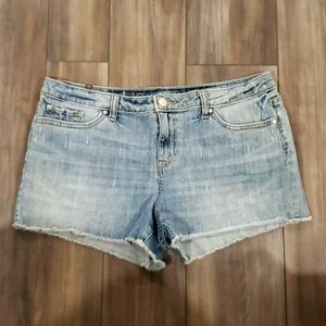 Lauren Conrad denim Shorts Size 14